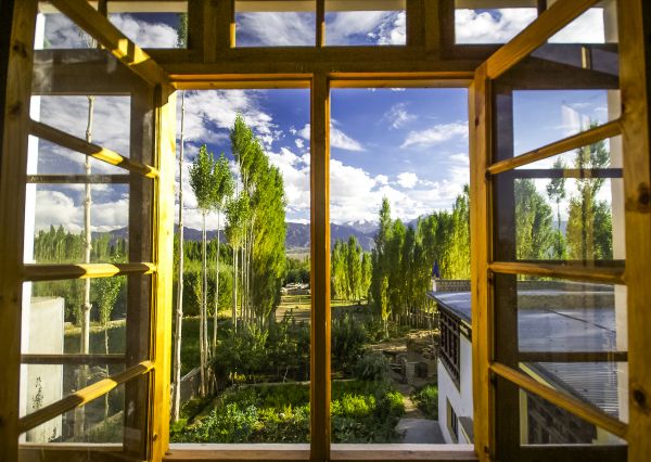 Wood Window Replacement in Sherman